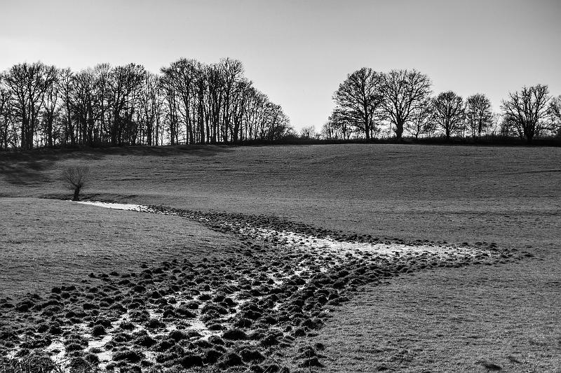 2019_03_23_Canal du Nivernais (0018).jpg - Canal du Nivernais, entre Vandenesse et Fleury (Mars 2019)